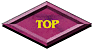 Top of Page