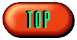 Top of Page
